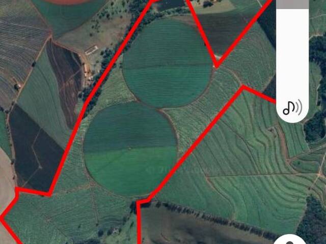 Fazenda para Venda em São João da Boa Vista - 4
