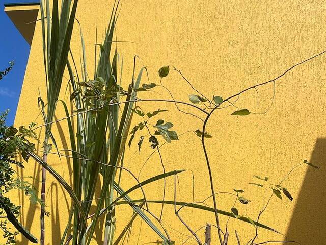 #31 - Casa para Venda em Mogi das Cruzes - SP - 3